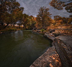 фото "Рыжая пора"