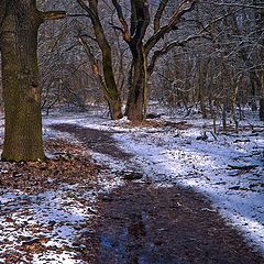 фото "March snow"