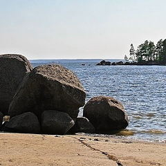 photo "Stone guard"