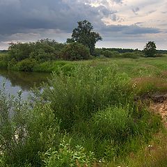 фото "Берегом реки"