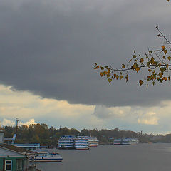 photo "Little drops of rain fall on the ground."