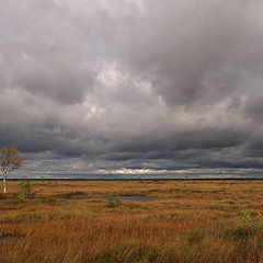 фото "Осенний день."