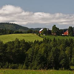 фото "Красные домики на холме"
