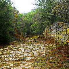 photo "The way up..."