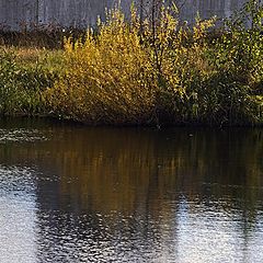 фото "Городские ...(...отражения)"