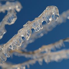 photo "Ice Forms"