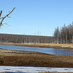 фото "Предзимье"