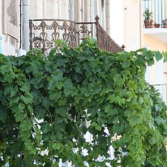 фото "balcony"