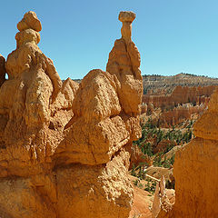 photo "The three knights"