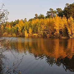 фото "Осенняя палитра"