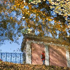 photo "autumn reflections"