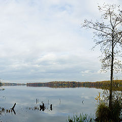 photo "Clouds in the mirror"