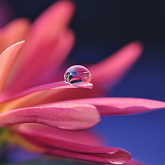 фото "Waterdrop"