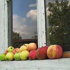 фото "Яблочный спас"
