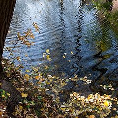 photo "autumn reflections"