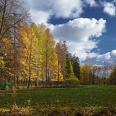 фото "Музыка осеннего парка..."