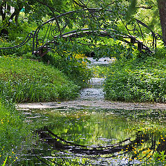 photo "Разрешить написание латиницей Bridge and reflection."