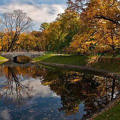 фото "Осень в Михайловском парке (2)"