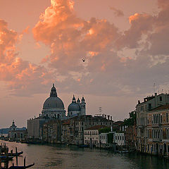 фото "5 o clock in Venice"