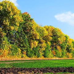 фото "Осенний денек"