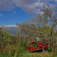 photo "***"