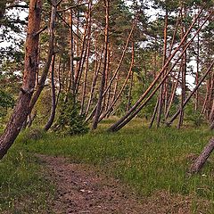 фото "Здесь дуют ветры..."