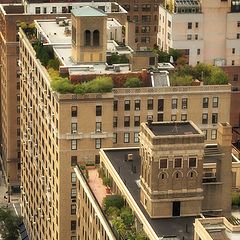 photo "Hanging gardens of New York City"