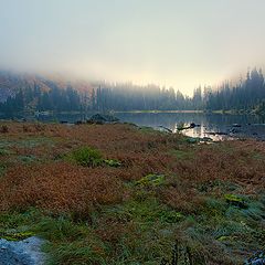 фото "Вечерний рассеянный свет"