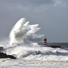 фото "FORCE OF NATURE"