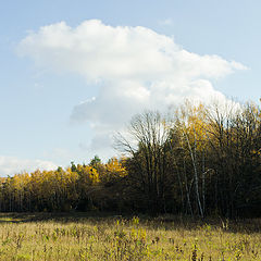 photo "At noon on the edge"