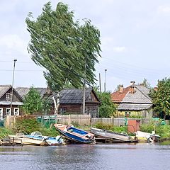 photo "***"