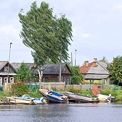 фото "ветер"