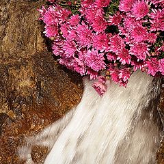 фото "waterfall"