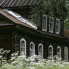 photo "Fotoduel. The House near the birch"