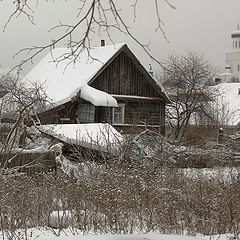 photo "Fotoduel. In the winter hibernation."