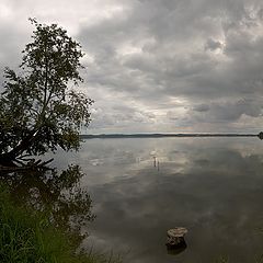 фото "Дальше была осень..."