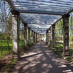 фото "пергола"