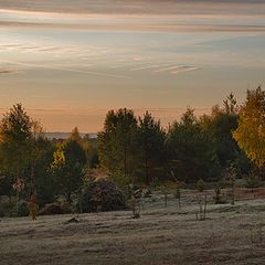 фото "Розовые заморозки"