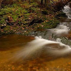 photo "Стремнины"