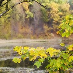 photo "Autumn light"