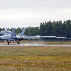 photo "Hornet landing"
