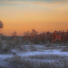 photo "мороз, закат, зима"