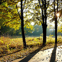 photo "Autumnal decor"