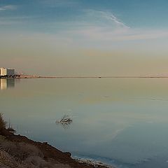 фото "The Dead Sea"