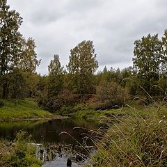 фото "Люблю свой край"