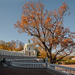 фото "Осень в Ораниенбаумском парке"