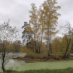 фото "Осенний островок."