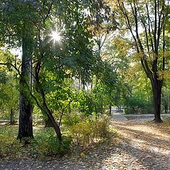 photo "Autumn in the Park"