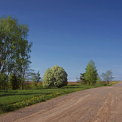 фото "Эх, дороги..."