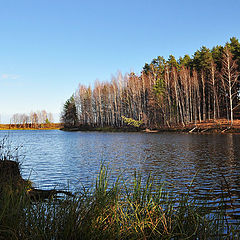 фото "Лесное озеро"